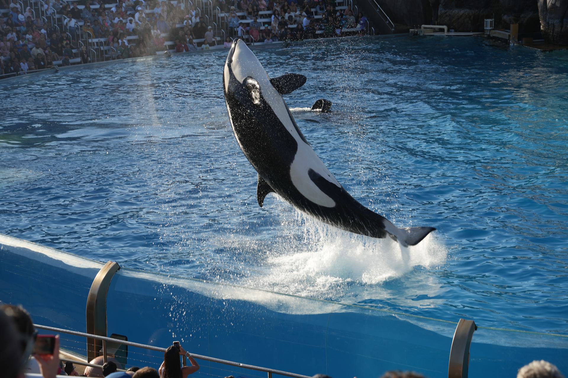 旧金山·洛杉矶 | 美国短期插班与文化体验